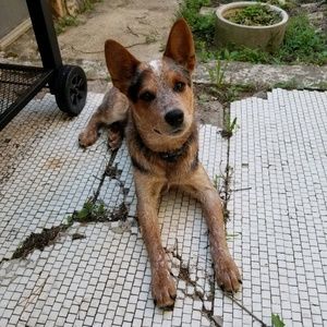 Meet your Posher, Kateri